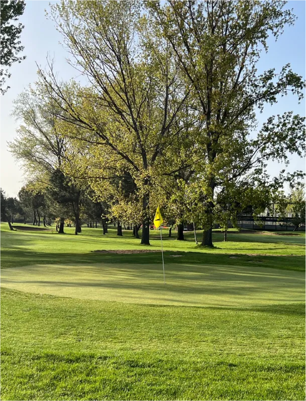 Imagen publicada por Golf Negralejo
