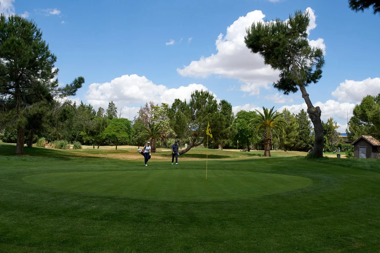 Imagen publicada por Golf Negralejo