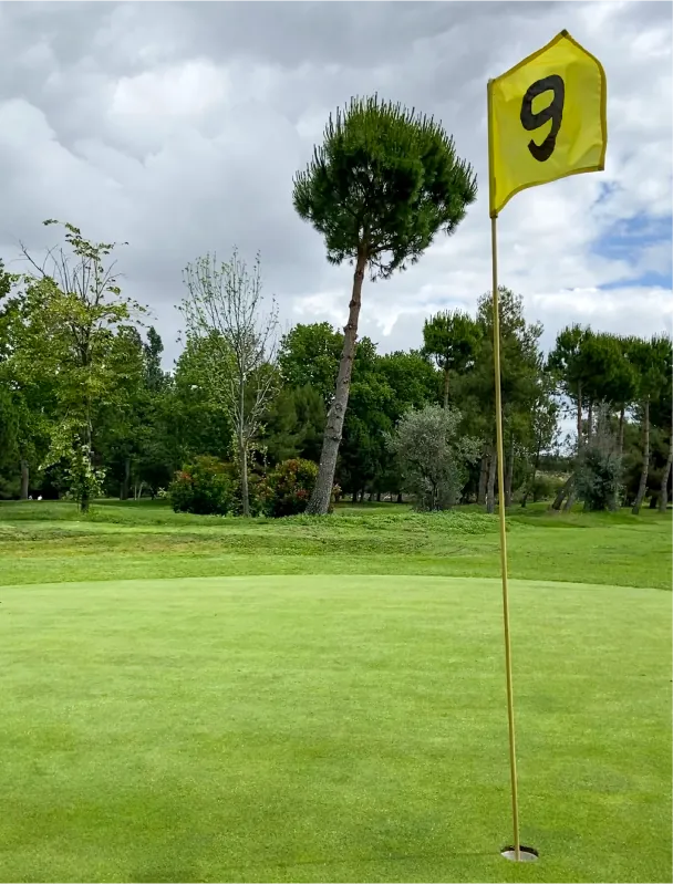 Imagen publicada por Golf Negralejo