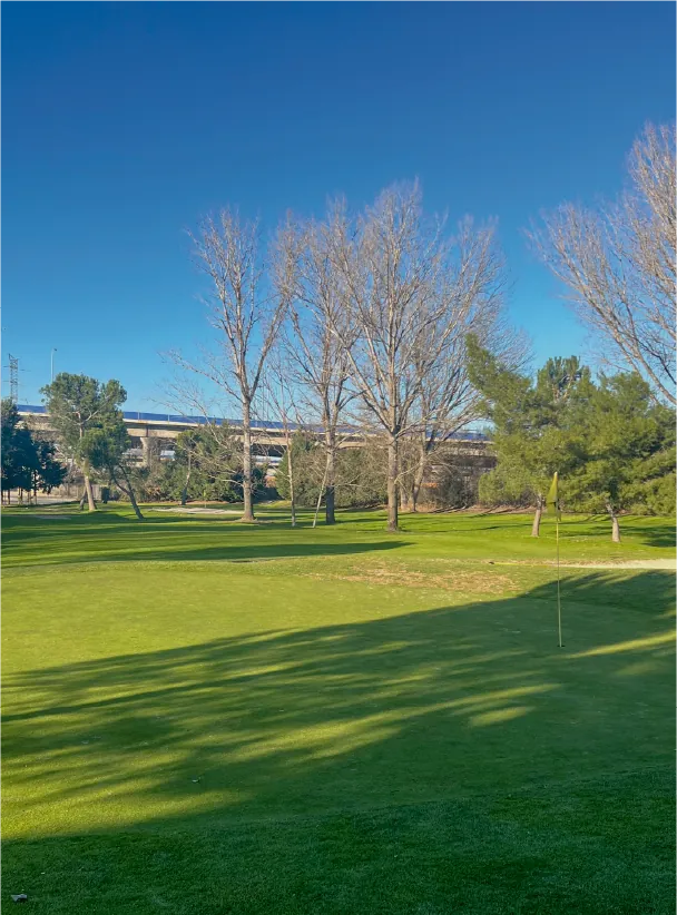 Campo Combinado